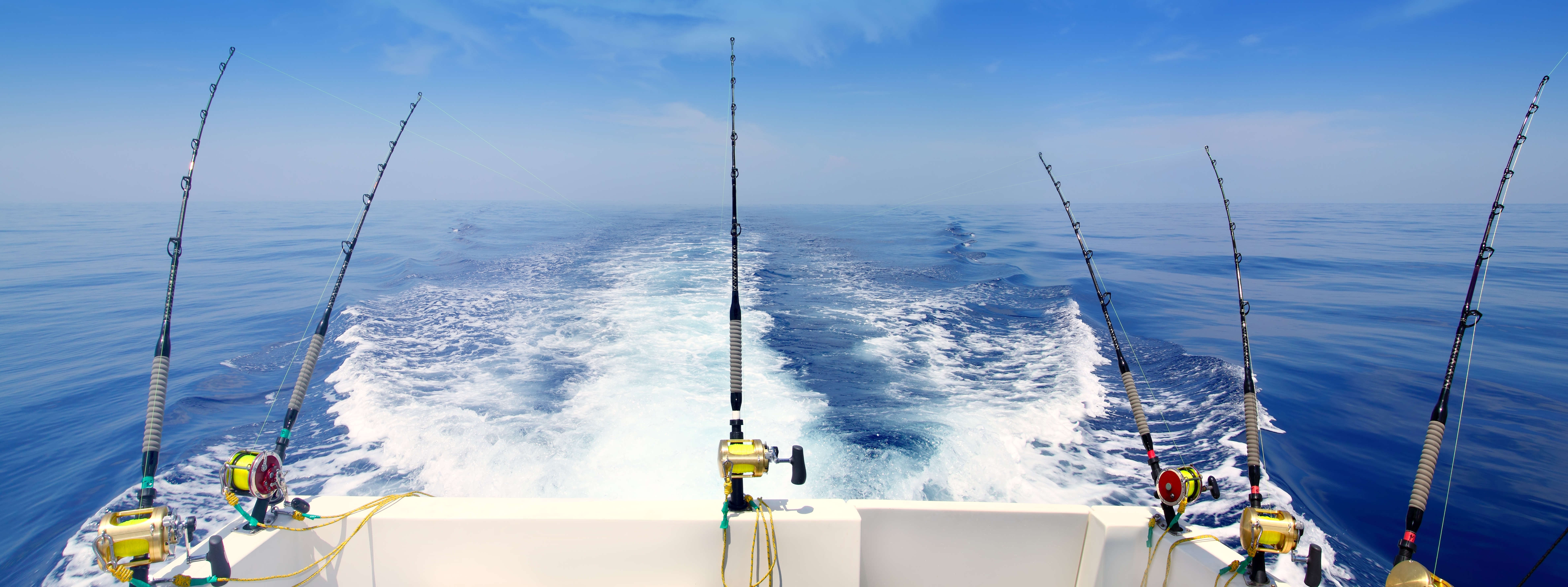 Professional fishing experience and expertise